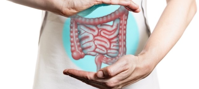 Diagram of a bowel