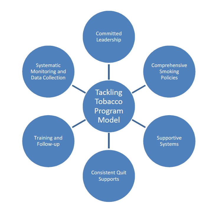 Tackling Tobacco program logic