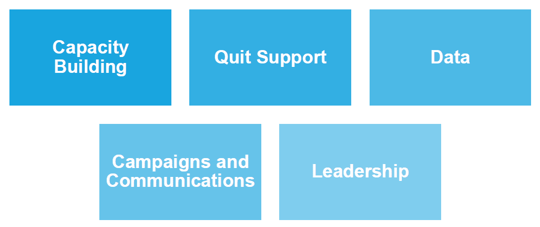 Five Strategic Action Areas of the Tackling Tobacco Mental Health Action Plan