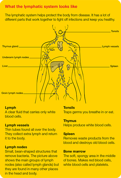 Lymphoma Cancer Council Aboriginal Cancer Information