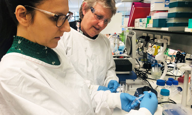 University of Newcastle researchers: Associate Professor Jennifer Schneider and Ms Mirjana Radovanovic testing a sample dried blood spot