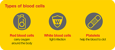 Types-of-blood-cells