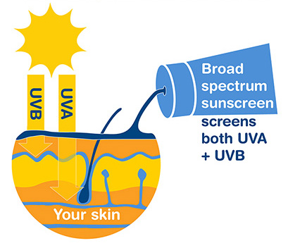 UVB and UVA rays