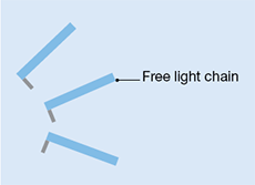 free light chains