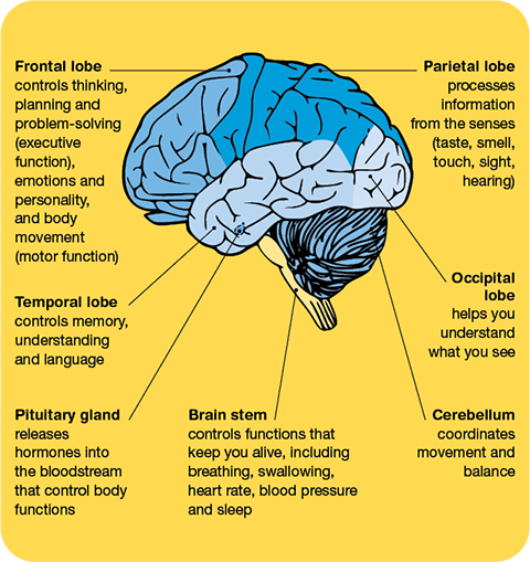 Razer Can gaming cause brain cancer Secretlab Design