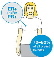 Hormone receptor status
