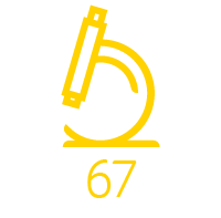 67