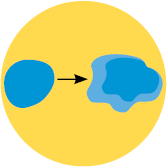 Diagram of melanoma evolving
