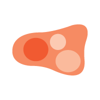 a mole with patches of different colours