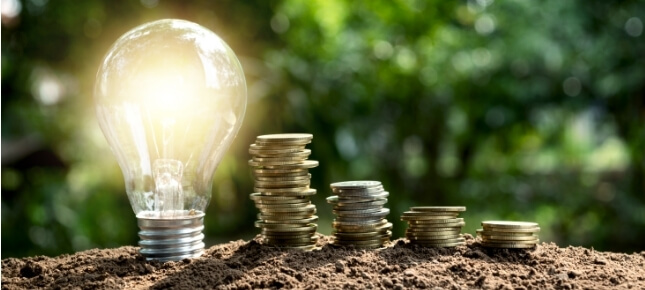 Lightbulb and pile of coins on dirt.