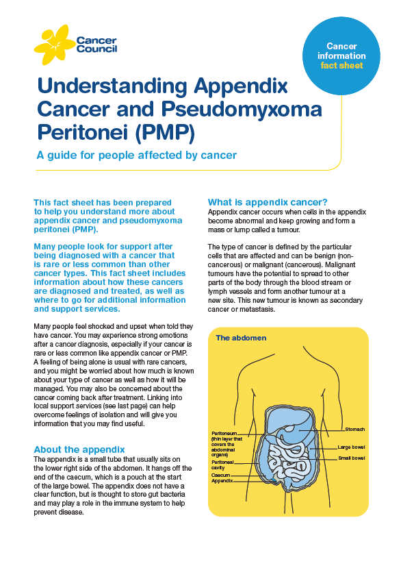 Understanding Appendix Cancer and PMP cover thumbnail