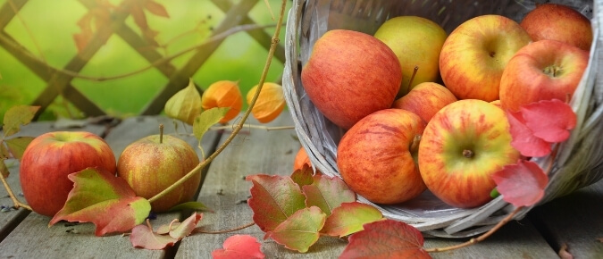 Apples are in season this winter.