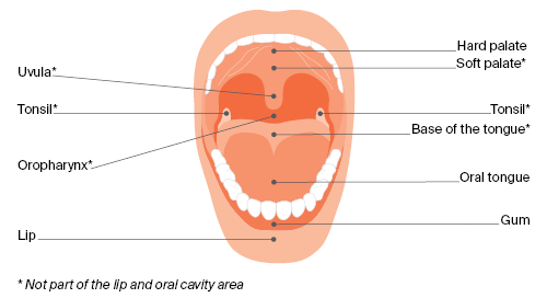 oral acvity