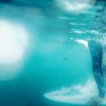 surfer diving underwater with surfboard