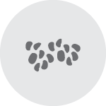 Image of platelets