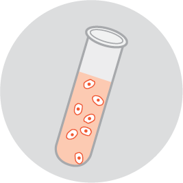  Stems cells preserved
