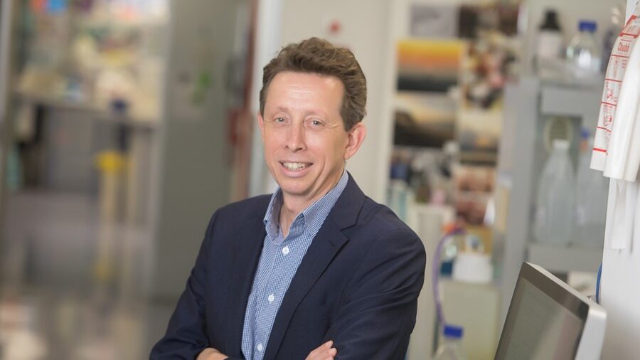 Professor Peter Croucher in his lab where he researches how cancer cells interact with bone tissue for which he has been awarded the Sally Crossing AM Award.
