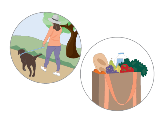 Image of a woman walking her dog and a bag of groceries.