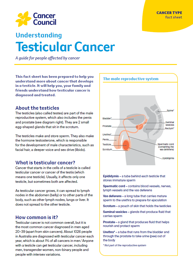 Understanding Testicular Cancer cover thumbnail