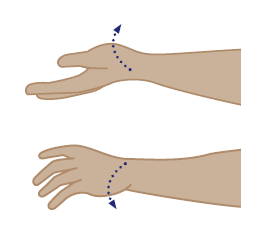 Illustration of wrist move exercise 4