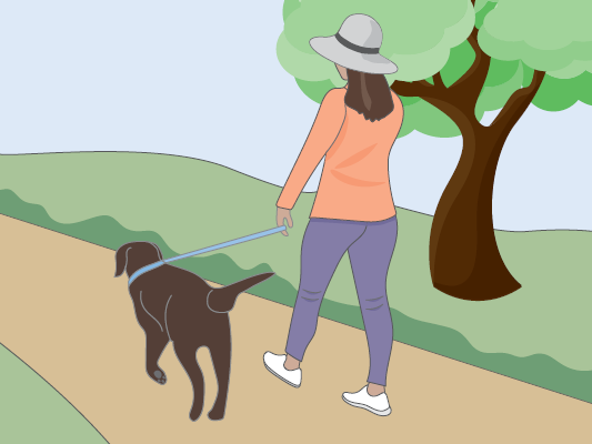 Illustration of a woman walking with a dog on a leash along a path