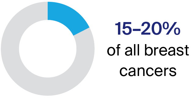 Pie graph showing statistics of HER2 cancer: 15 - 20 per cent of all cancers