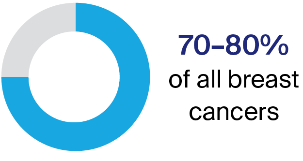Pie chart showing hormone receptor breast cancer statistics: 70 to 80 per cent of all breast cancers
