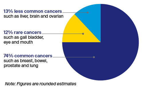 Pie chart shows 13% less common, 12% rare and 74% common, with note that figures are rounded estimates